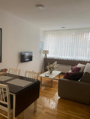 Apartman Zotović